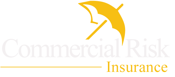 Commercial Risk Insurance